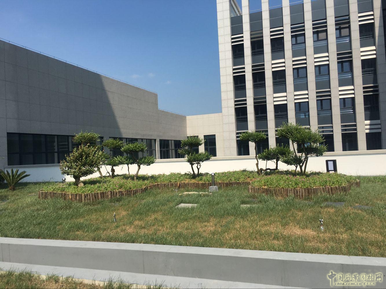 2016園冶杯:安徽城鄉(xiāng)規(guī)劃大廈景觀綠化工程