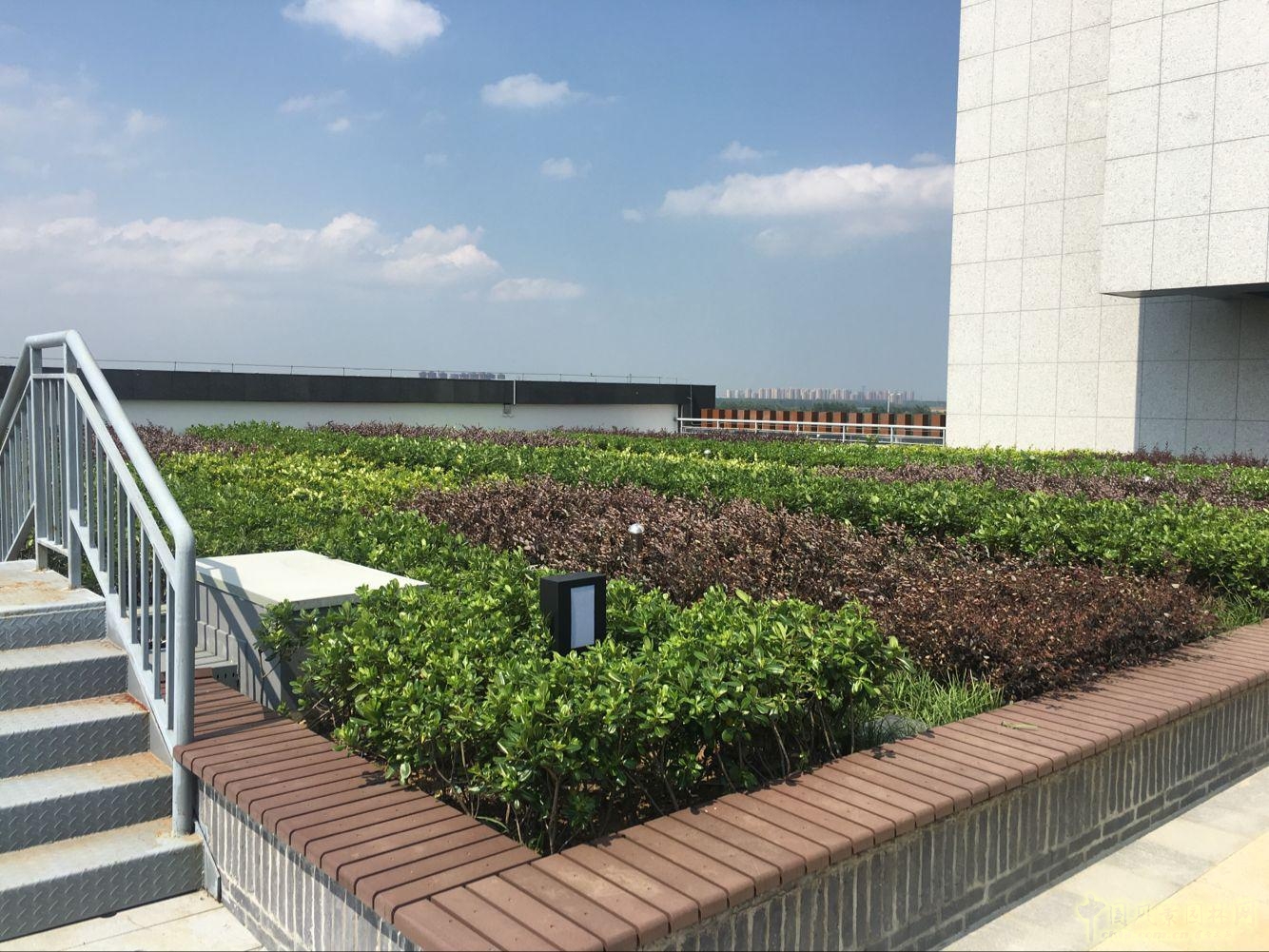 2016園冶杯:安徽城鄉規劃大廈景觀綠化工程