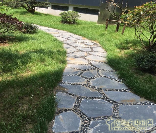 2016園冶杯:安徽城鄉規劃大廈景觀綠化工程