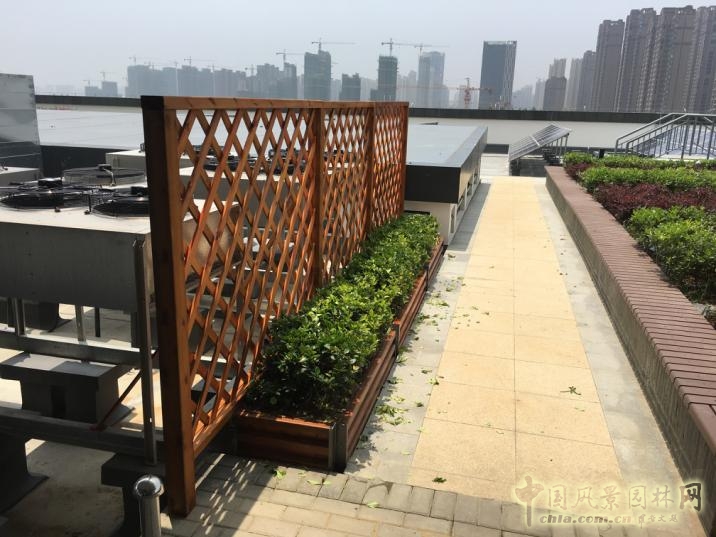 2016園冶杯:安徽城鄉規劃大廈景觀綠化工程