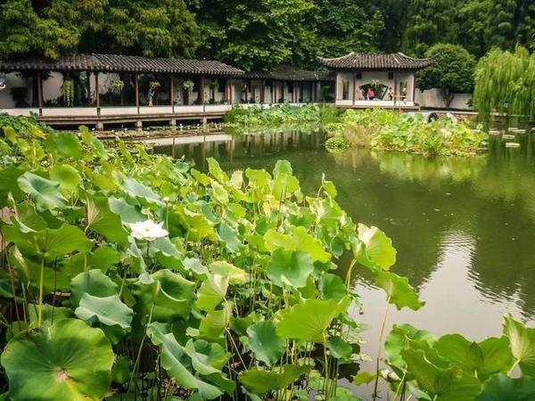 西湖邊上靈動的中國古典園林