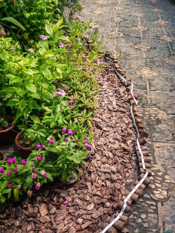 西湖邊上靈動的中國古典園林