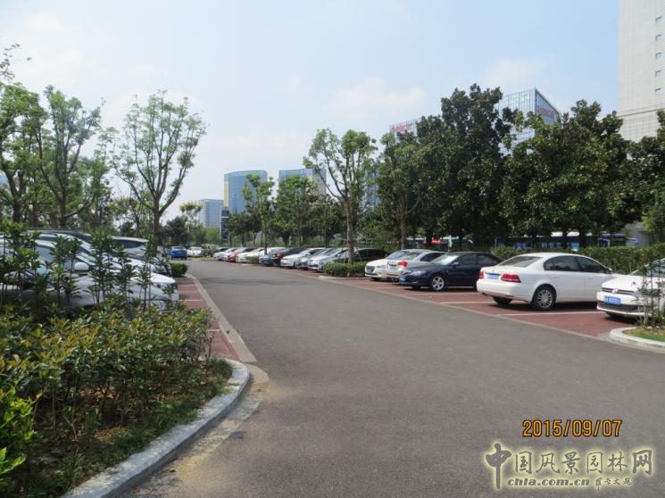 2016園冶杯:合肥市政務綜合樓室外停車場改造