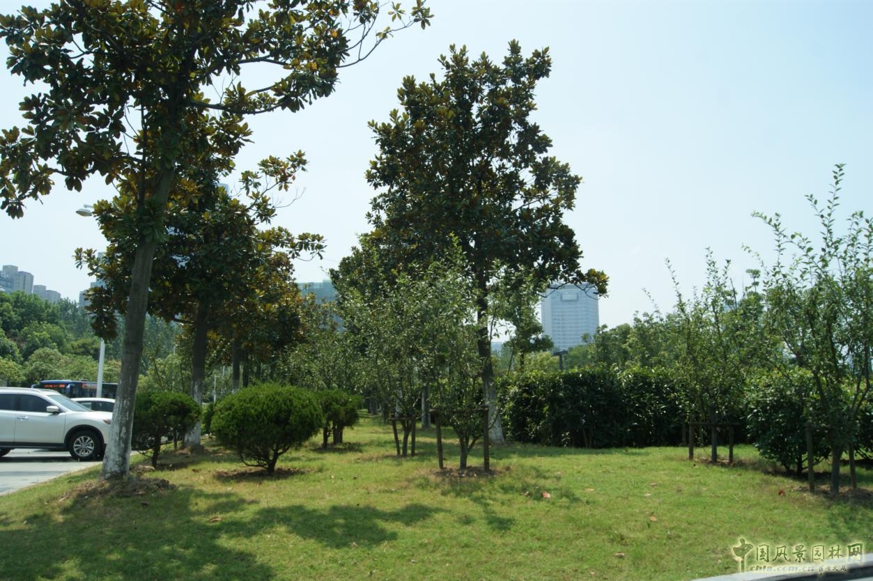 2016園冶杯:合肥市政務綜合樓室外停車場改造