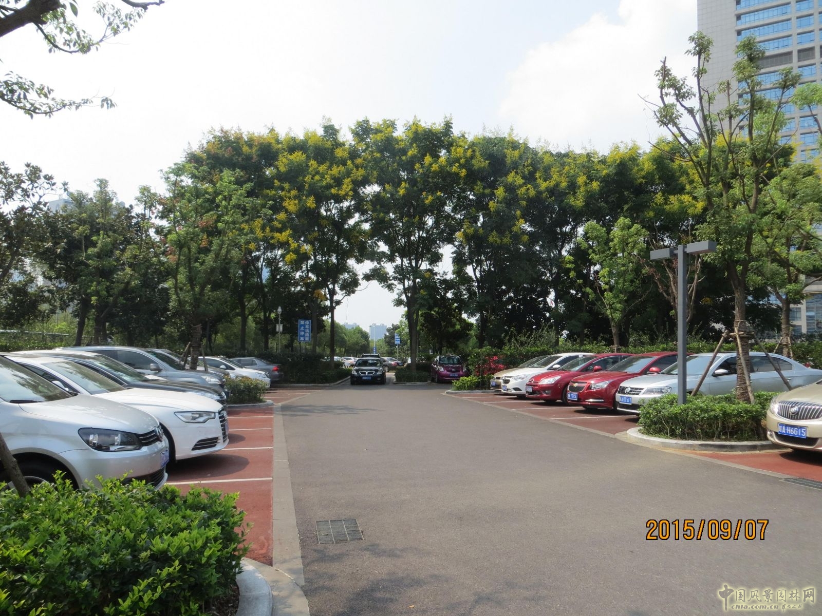 2016園冶杯:合肥市政務綜合樓室外停車場改造