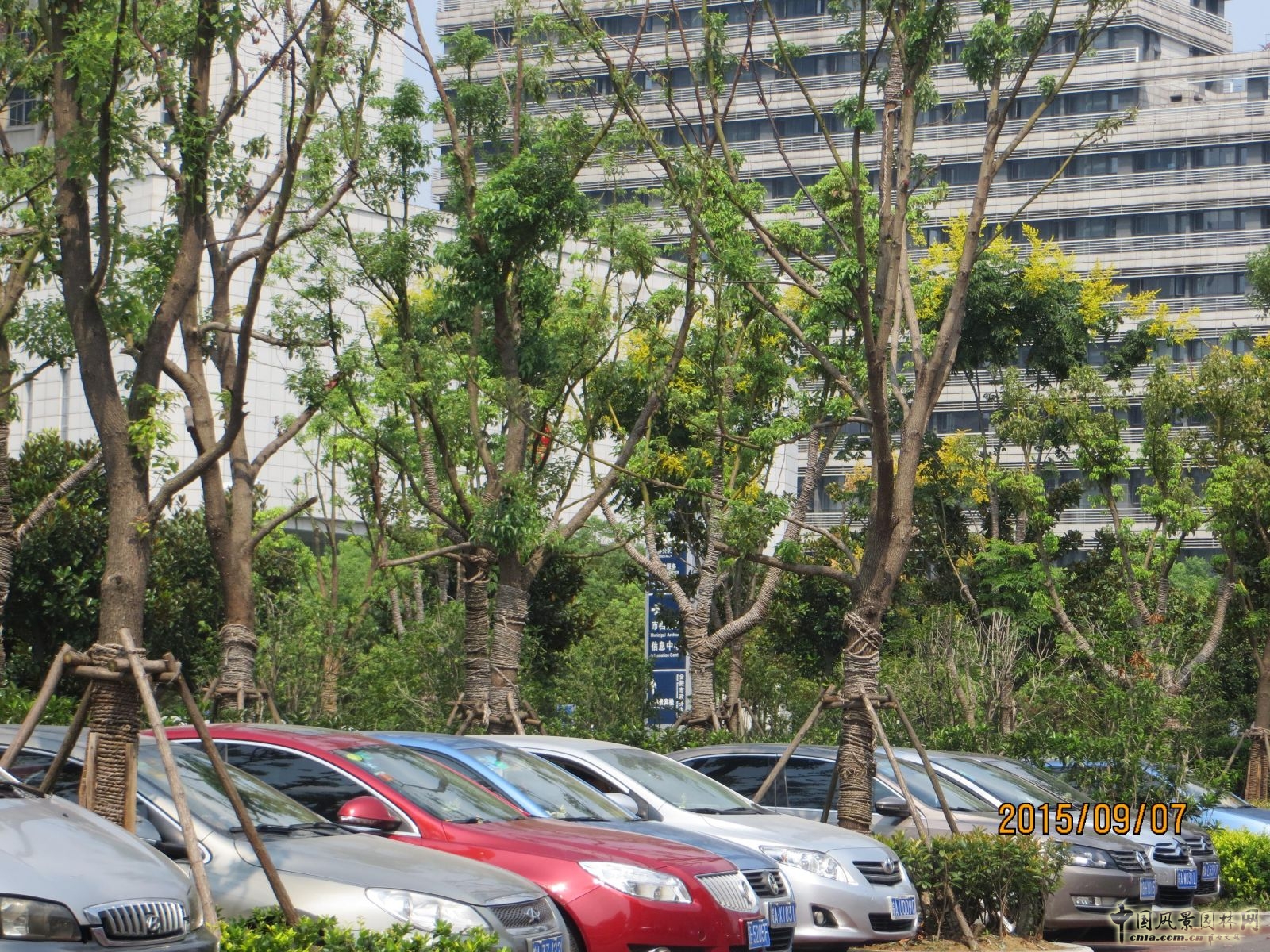 2016園冶杯:合肥市政務綜合樓室外停車場改造