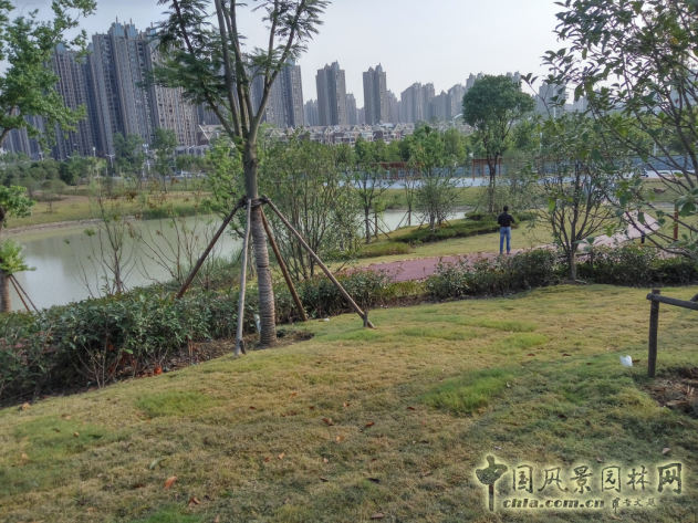 2016園冶杯:塘西河公園景觀（廣西路以西）綠化提升工程