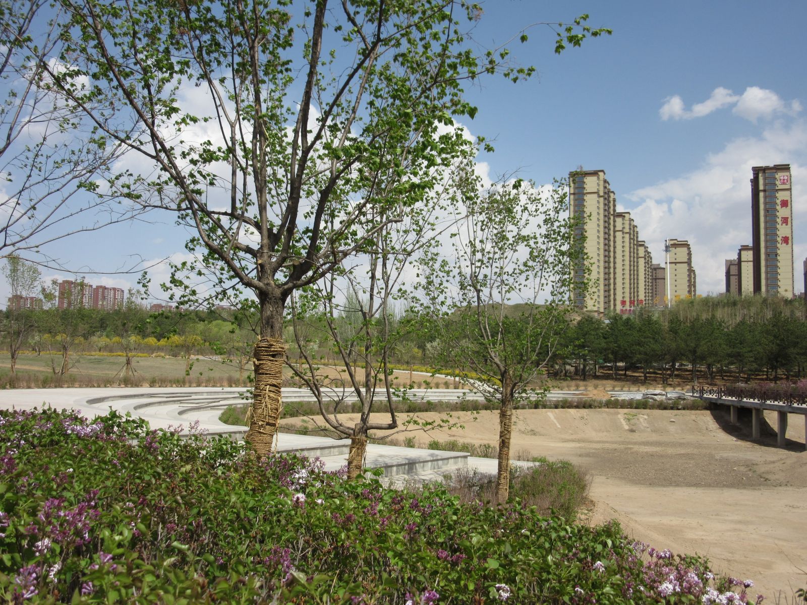 2016園冶杯:御河東岸景觀綠化工程（二期）C段