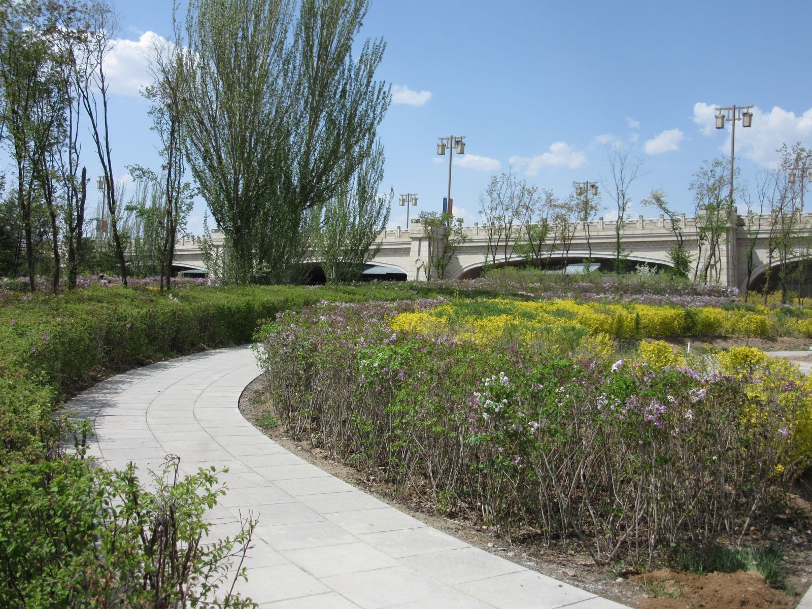 2016園冶杯:御河東岸景觀綠化工程（二期）C段