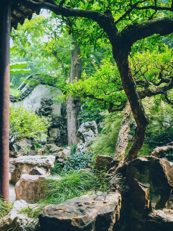 在江南古典園林豫園重拾上海的舊時光