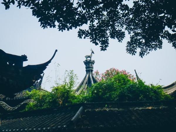 在江南古典園林豫園重拾上海的舊時光