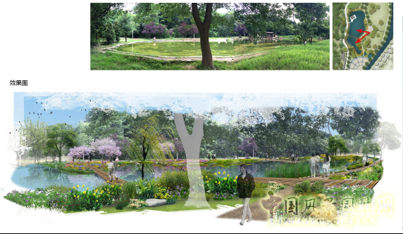 2016園冶杯：青山公園海綿化改造設(shè)計