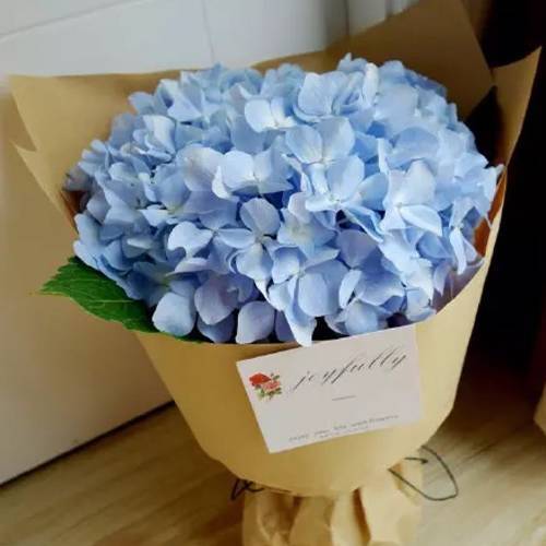 請您欣賞：美麗的球形花卉