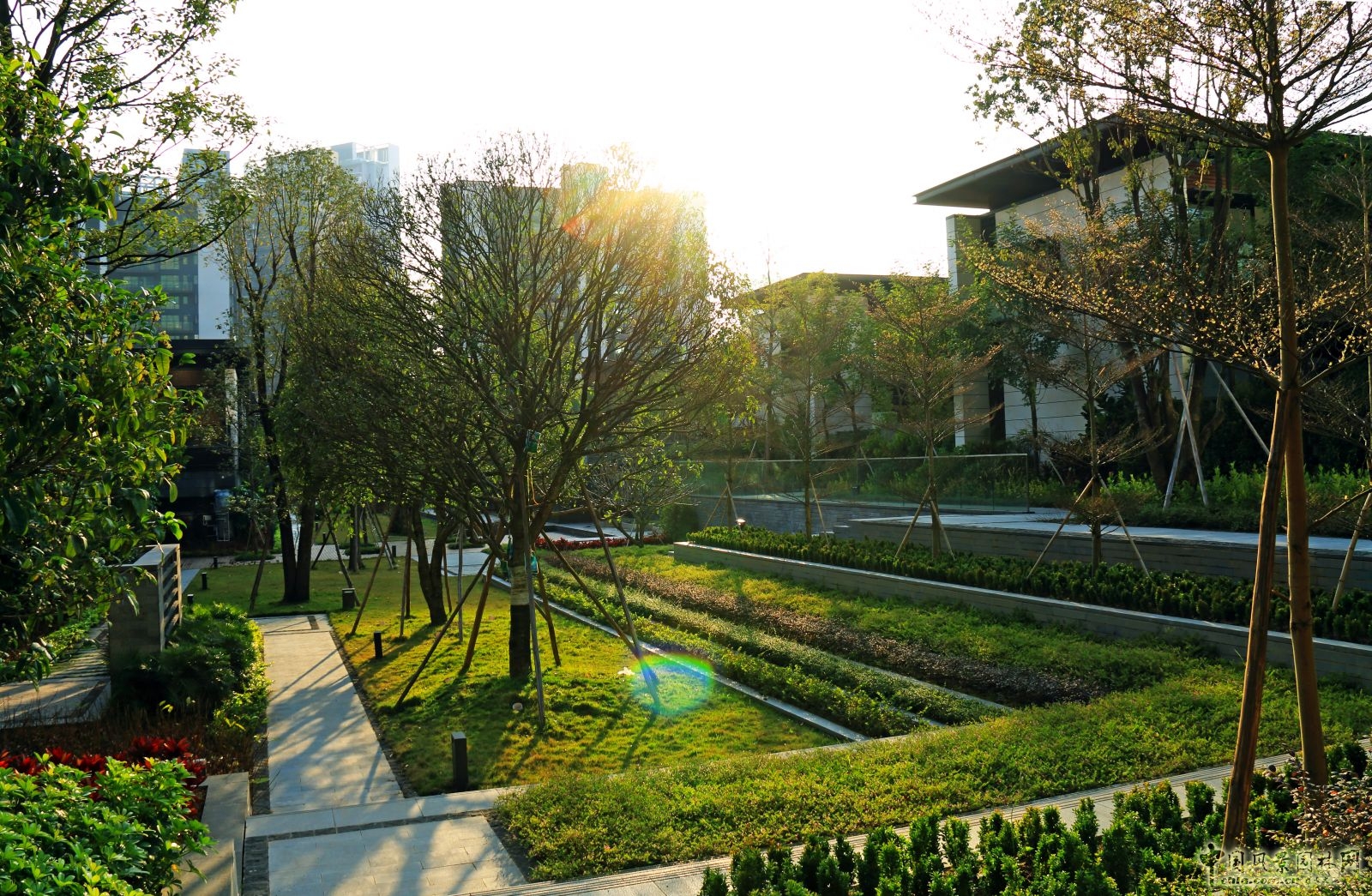 2016園冶杯：深圳華僑城香山美墅
