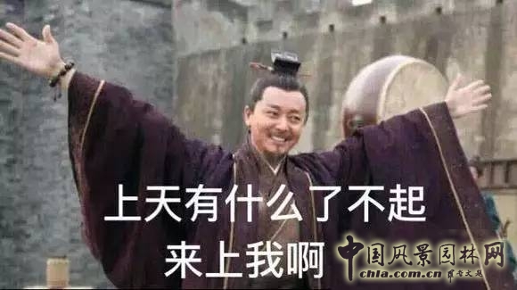 一口氣讀懂中國(guó)園林