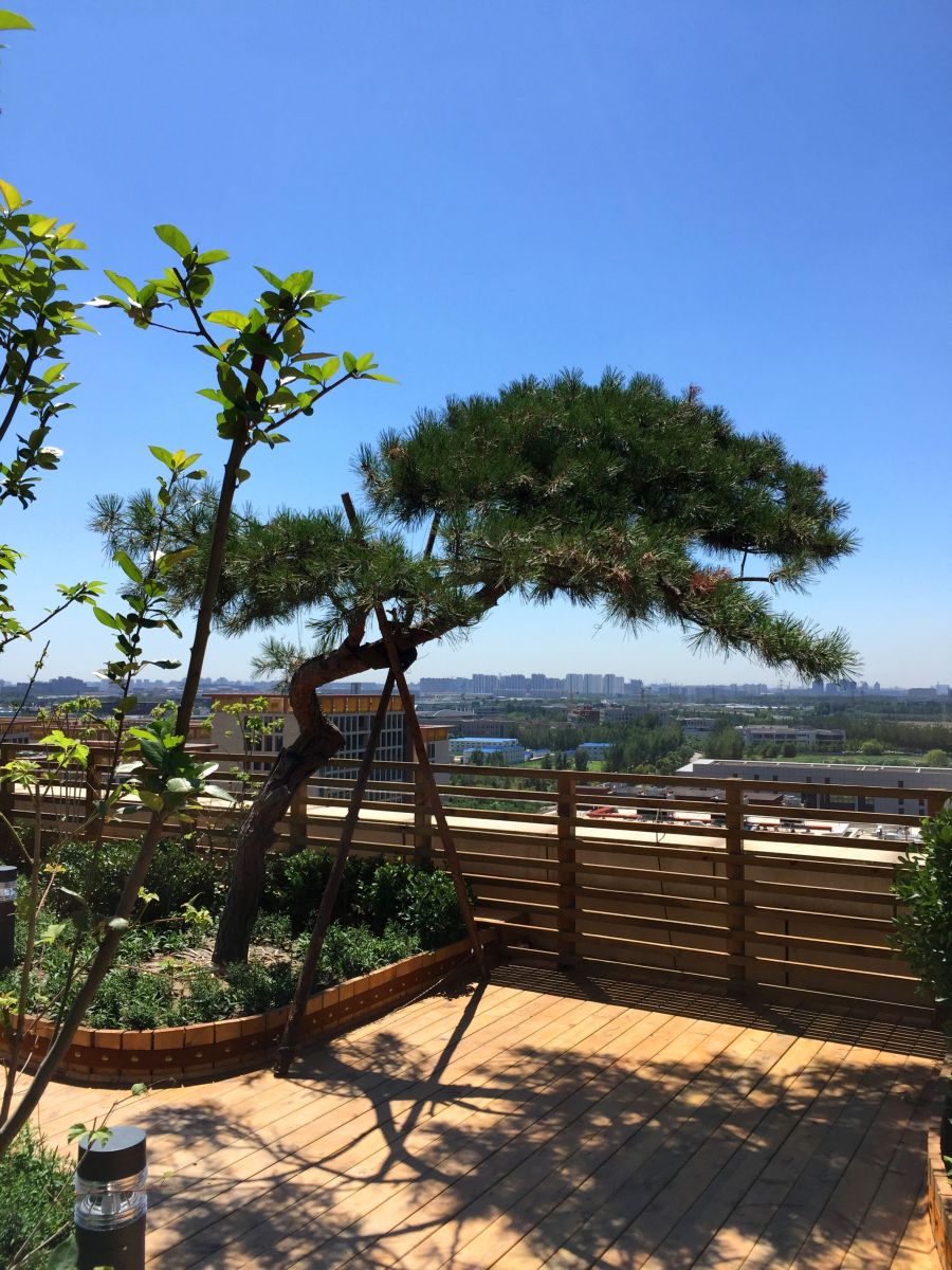 2016園冶杯專業(yè)獎參賽項目：北京大學國際醫(yī)院景觀工程設計