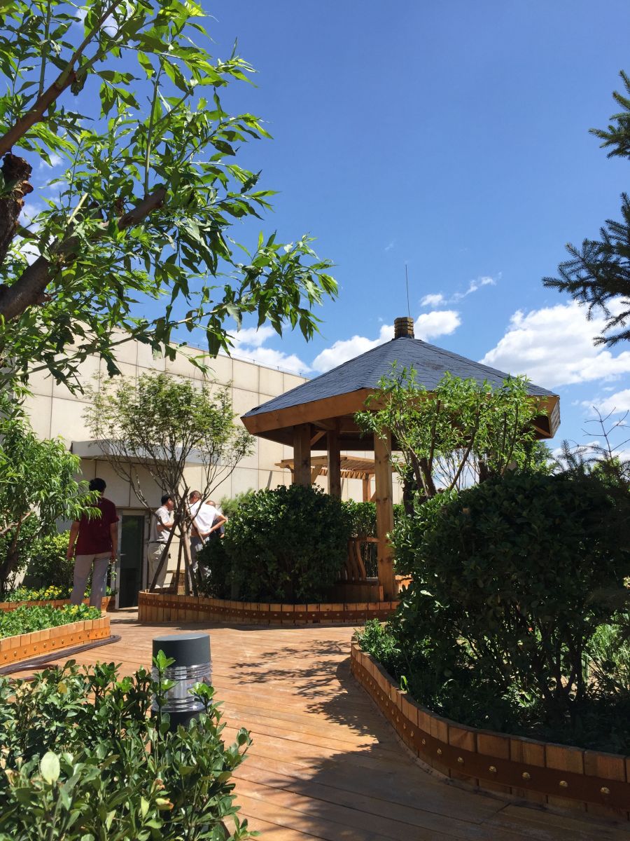 2016園冶杯專業(yè)獎參賽項目：北京大學國際醫(yī)院景觀工程設計