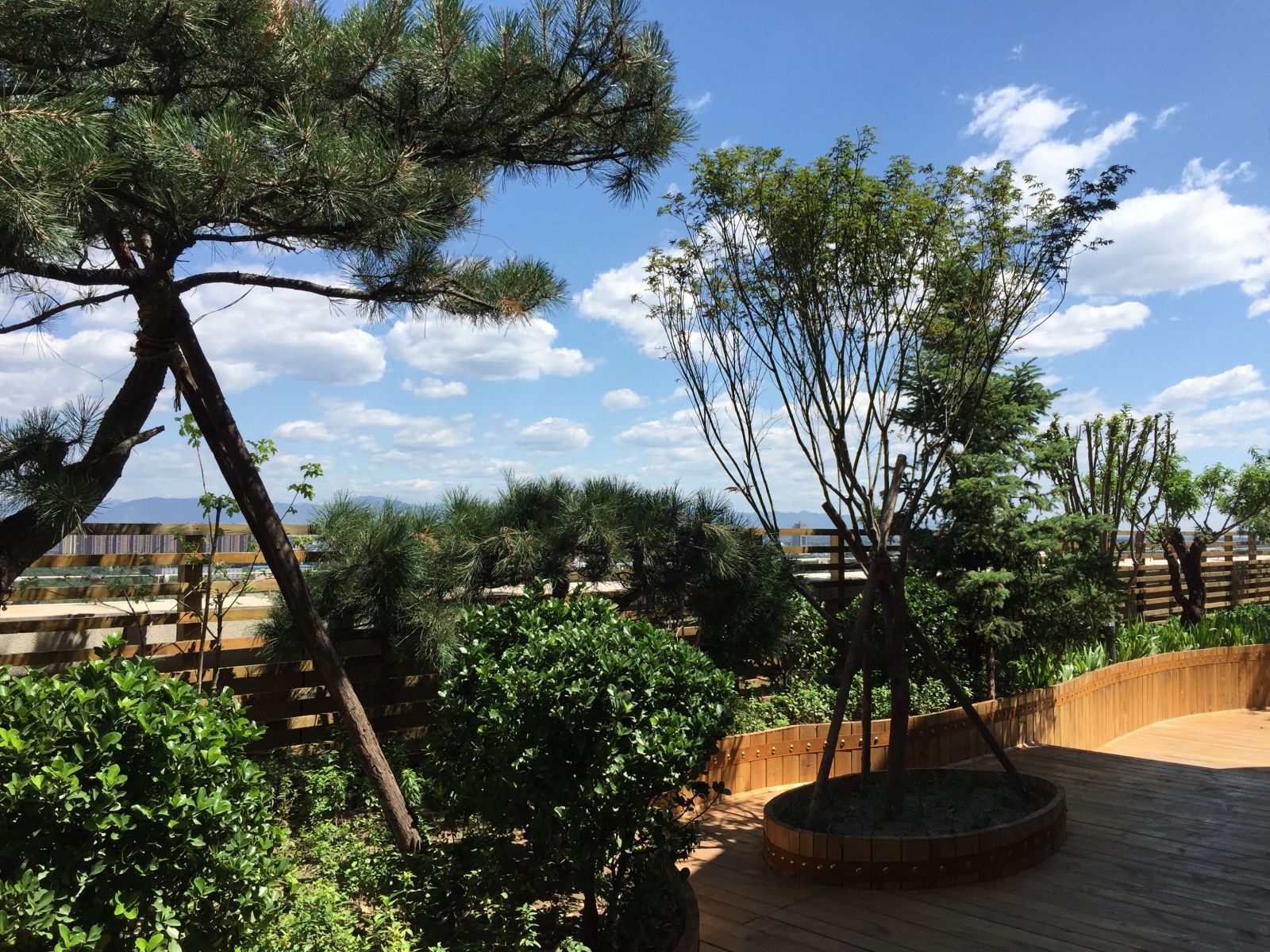 2016園冶杯專業(yè)獎參賽項目：北京大學國際醫(yī)院景觀工程設計