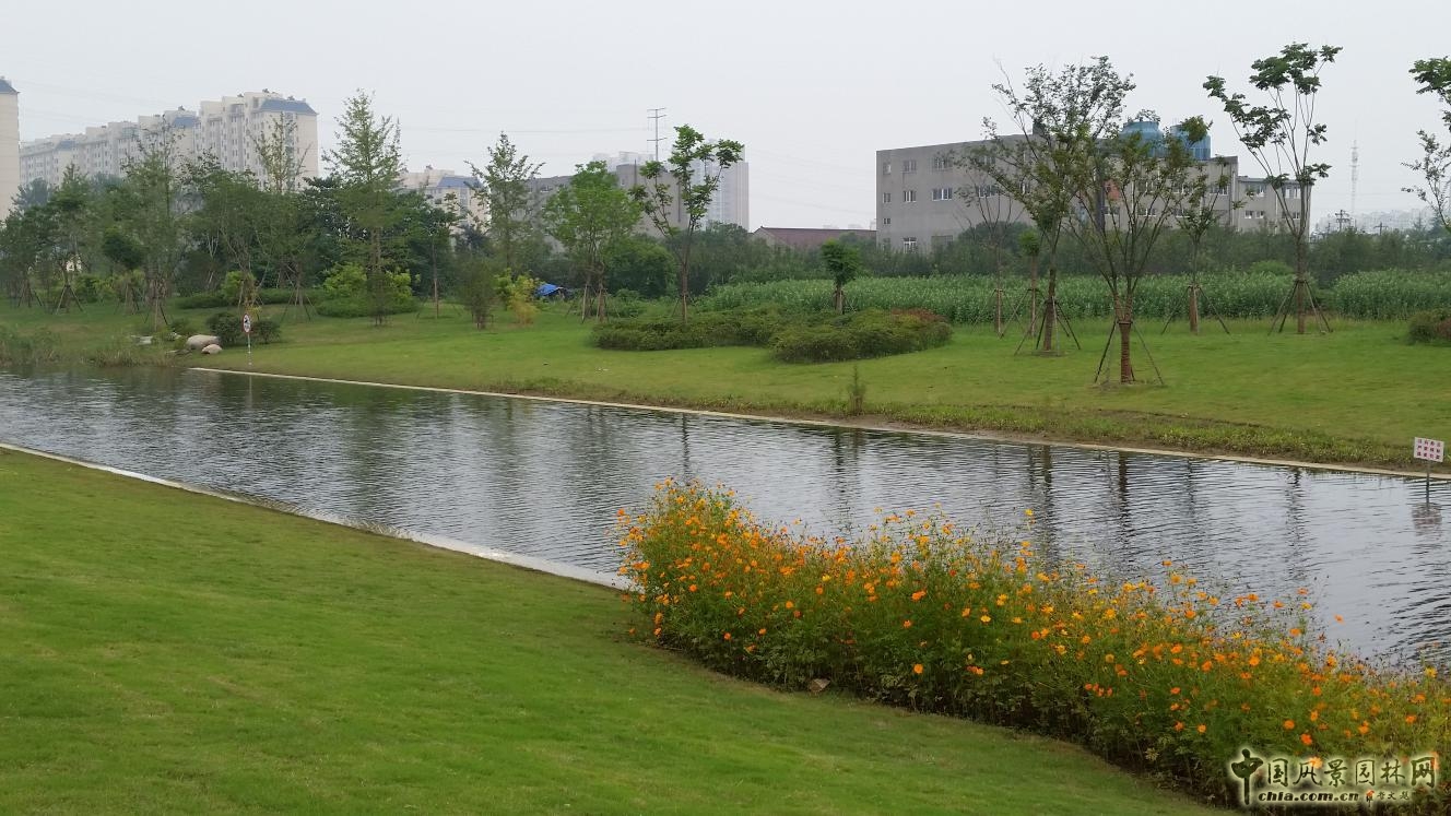 2016園冶杯：無錫錫東新城膠陽路景觀設計