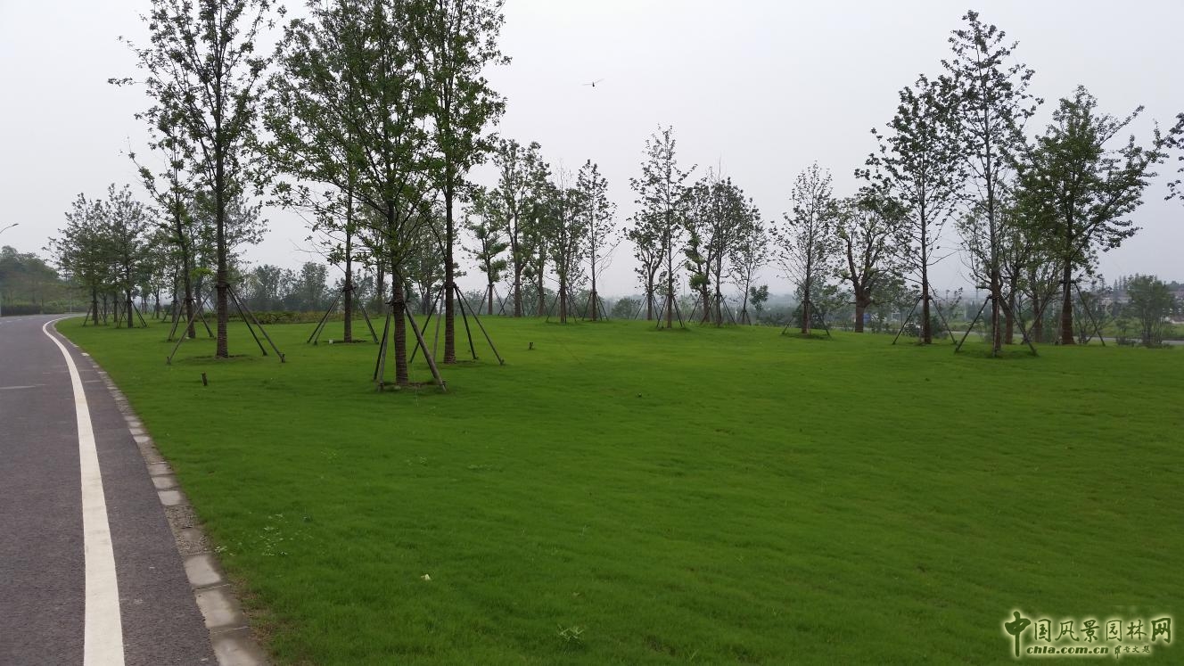 2016園冶杯：無錫錫東新城膠陽路景觀設計