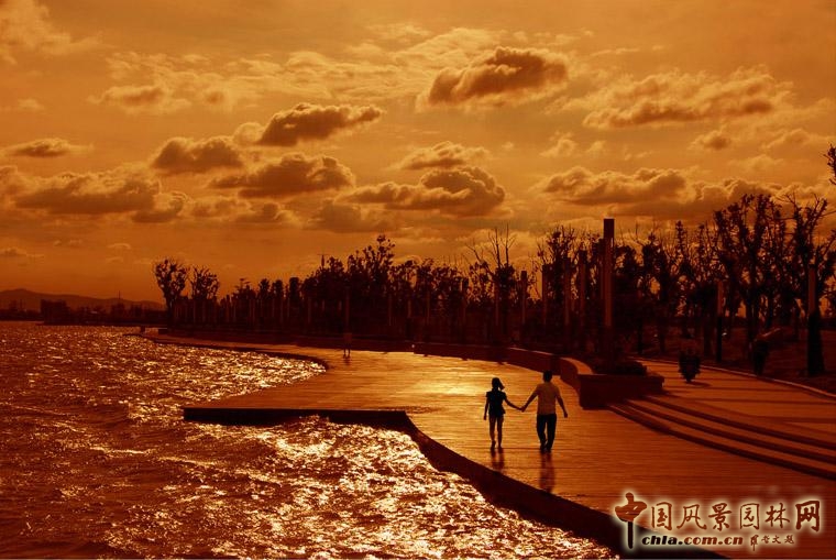 2016園冶杯:尹山湖環湖二期景觀設計