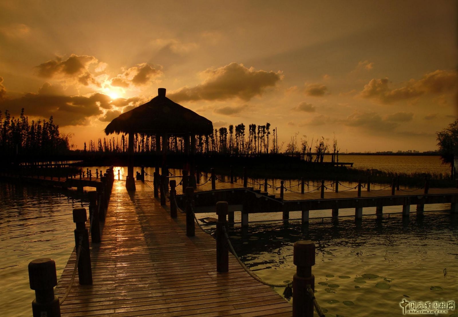 2016園冶杯:尹山湖環湖二期景觀設計