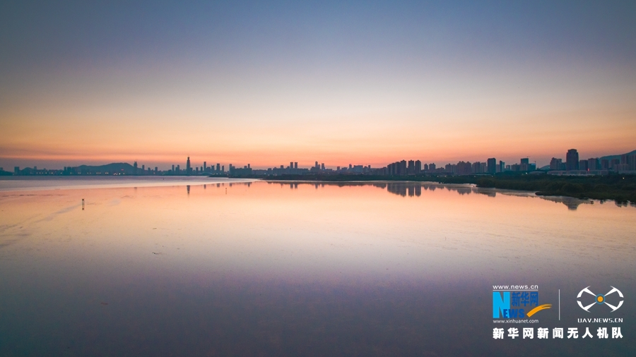 航拍深圳紅樹林鳥類自然保護區 