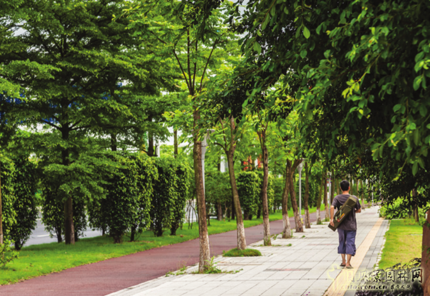 SWA設計作品:2010廣州亞運會亞運村