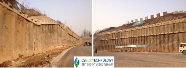 廈門崇圣生態(tài):生態(tài)綠墻在項(xiàng)目中的應(yīng)用