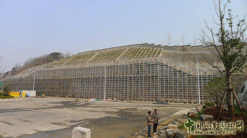 廈門崇圣生態：生態綠墻在項目中的應用