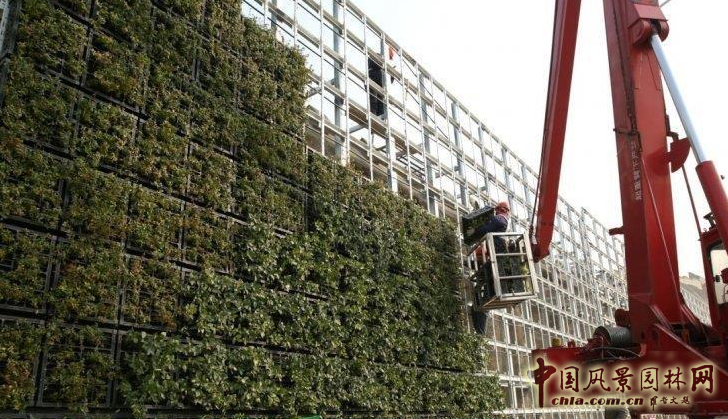 廈門(mén)崇圣生態(tài)：生態(tài)綠墻在項(xiàng)目中的應(yīng)用