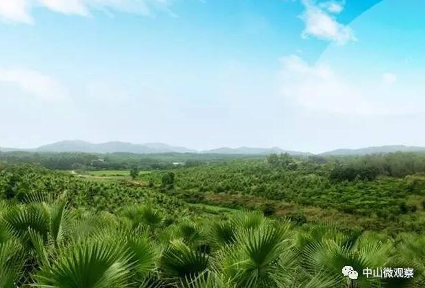 棕櫚股份董事長吳桂昌: 造夢,不要輕易說“不”