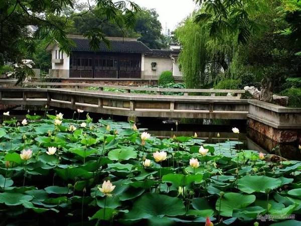 中國古典園林鑒賞:江蘇一些小而精的園林