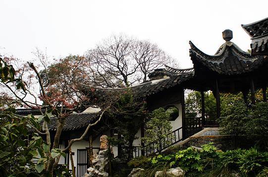 中國古典園林鑒賞：江蘇一些小而精的園林