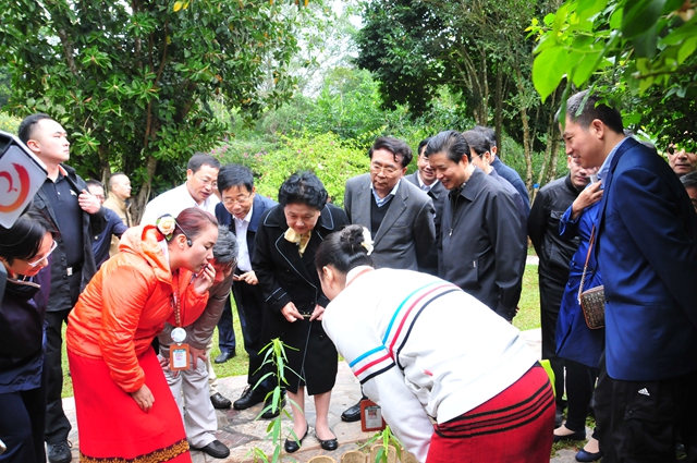劉延東考察中科院西雙版納熱帶植物園