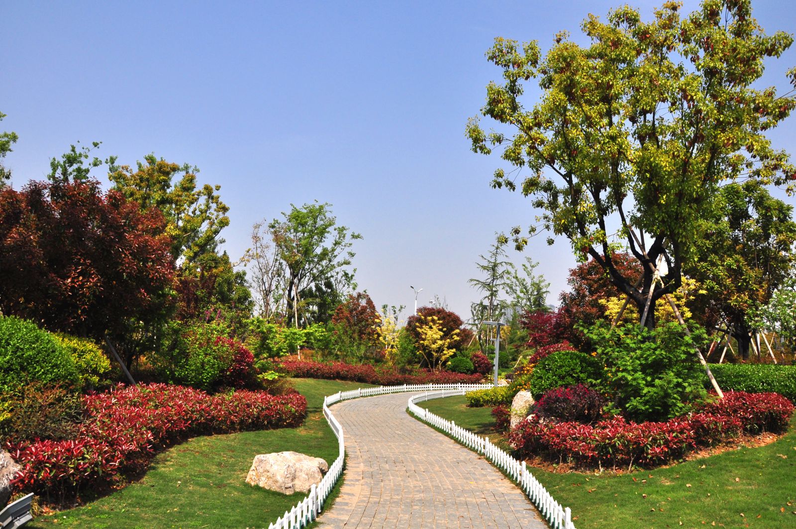 2016園冶杯專業獎參賽項目：金龍湖珠山南北坡