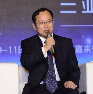 沈遲:特色小鎮要由打造到營造,由增長到成長,由試點到示范