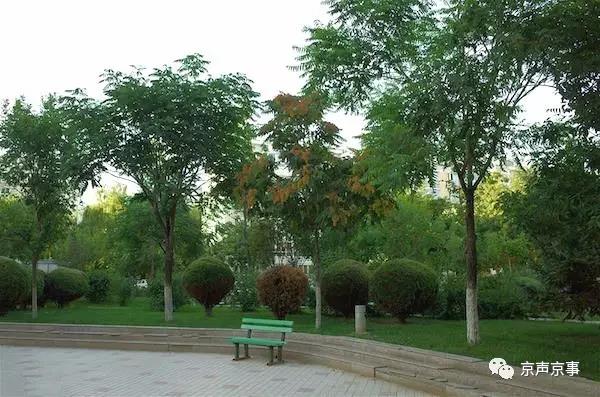 北京世園會｜這些遍植世界的植物 都來自中國