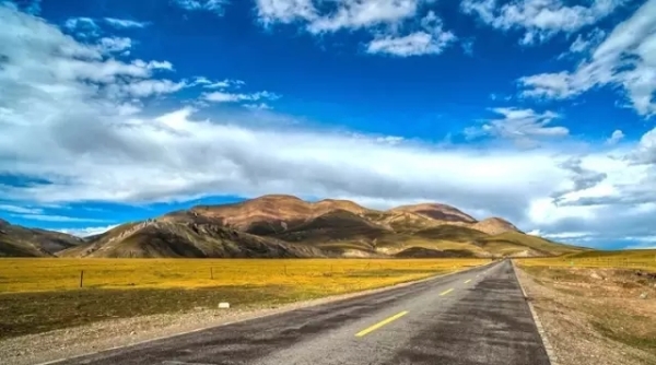 風景如畫的道路景觀