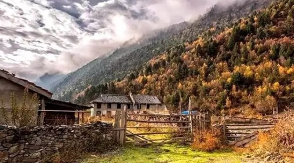 風景如畫的道路景觀