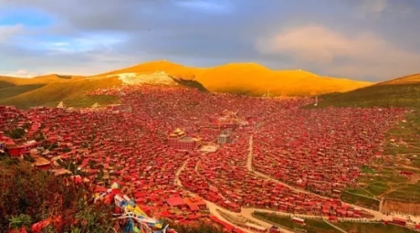 風景如畫的道路景觀