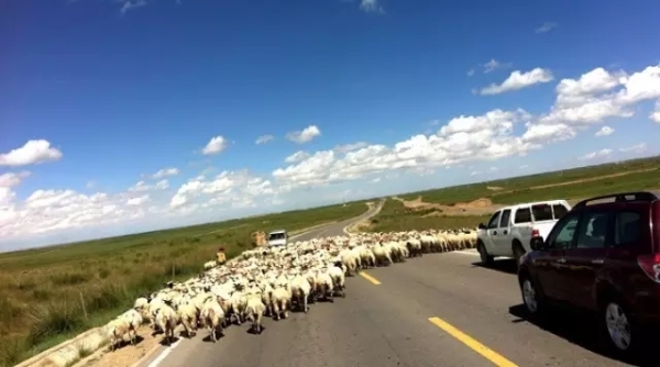 風景如畫的道路景觀