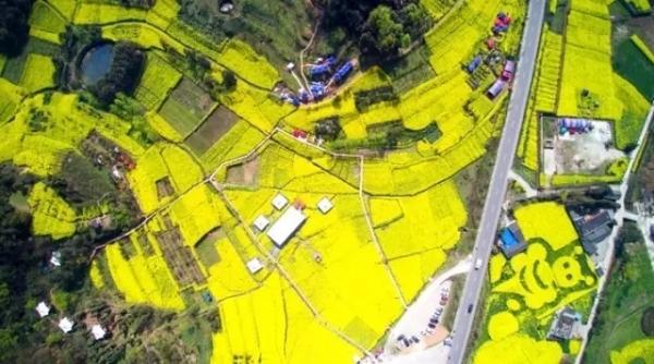 風(fēng)景如畫的道路景觀