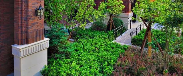 DDON笛東榮獲2016年北京園林優秀設計獎