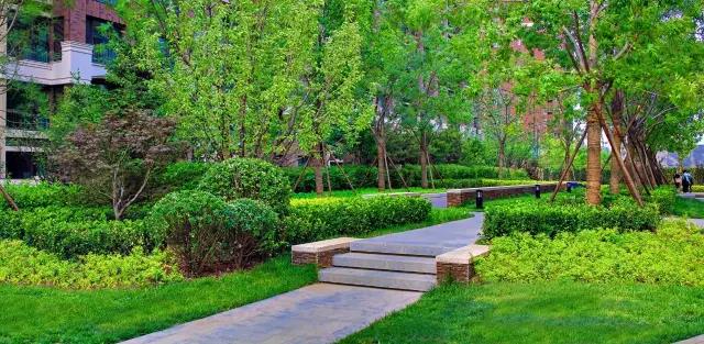 DDON笛東榮獲2016年北京園林優秀設計獎