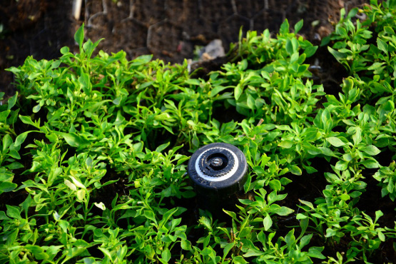 從2016唐山世園會看“海綿城市”和“水景觀”