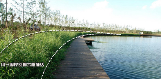 從2016唐山世園會看“海綿城市”和“水景觀”