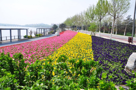 從2016唐山世園會看“海綿城市”和“水景觀”