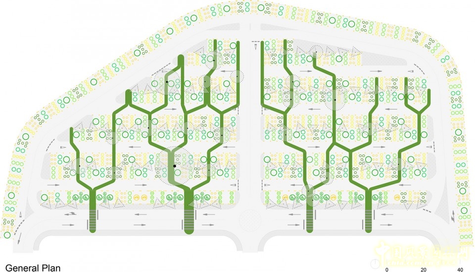 馬德里樹形結構校園停車場景觀