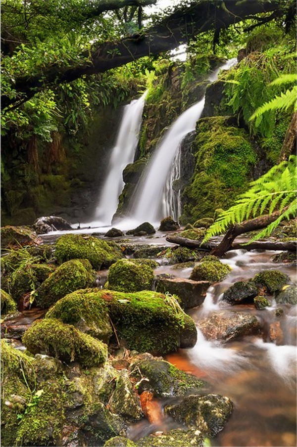 歐洲最美麗的國家公園